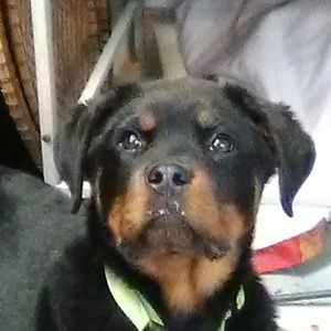 Meet your Posher, Anthony